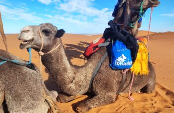 traxventureworld_adventure_main_morocco_post1