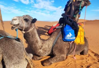 traxventureworld_adventure_main_morocco_post1